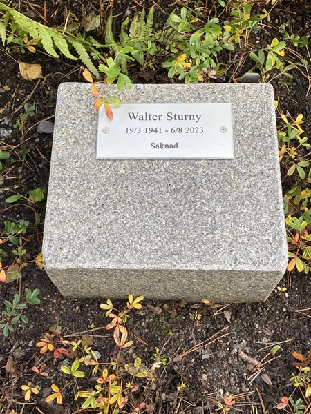 Gravnummer: 2 B     2