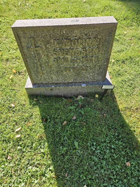 Grave number: Fr 7   102-103