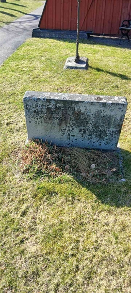 Hautatunnus: 3 Ga D    26-27