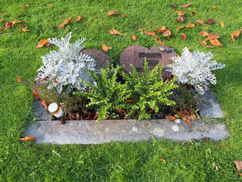 Grave number: 1 09   50