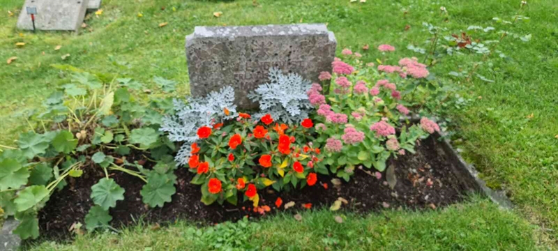 Grave number: M V  255, 255a