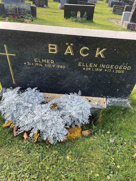 Grave number: N 3 8   468,  490
