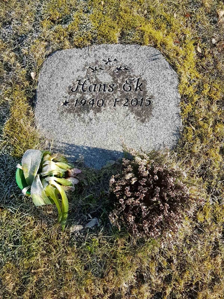 Grave number: RK N 13    14