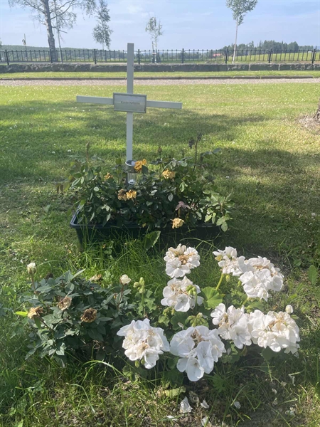 Grave number: H 8    29-30