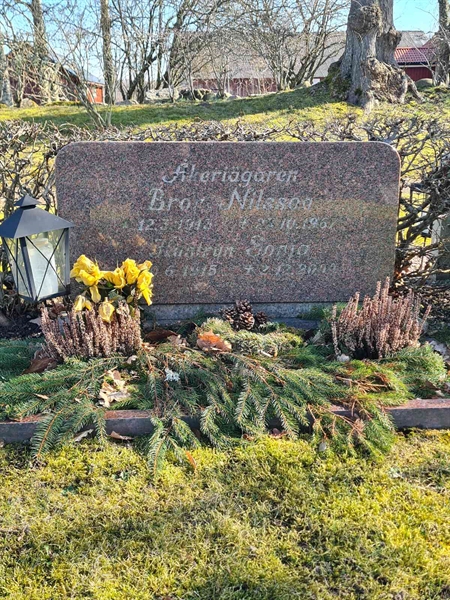 Hautatunnus: Ä N I 117, 118