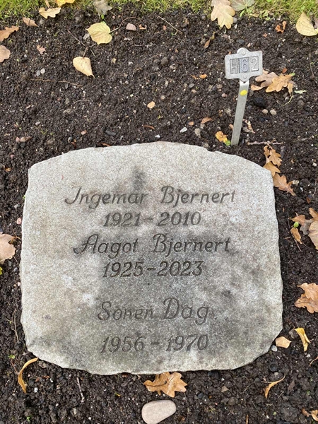 Gravnummer: 1 H    62