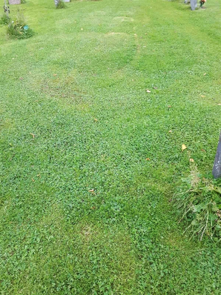 Gravnummer: NK A A     9