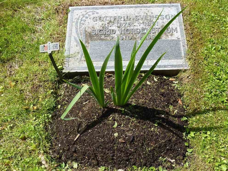 Grave number: 1 G  115