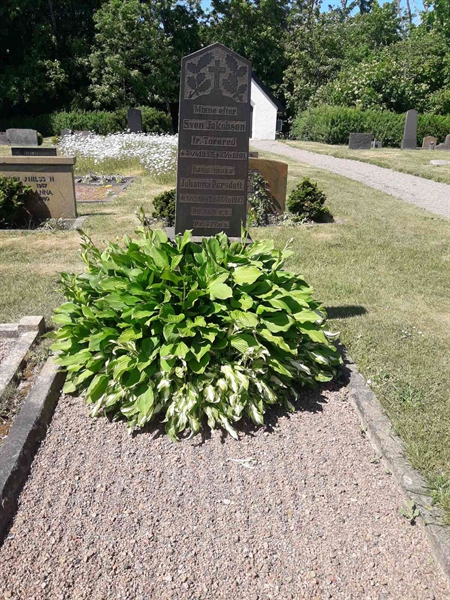 Grave number: TÖ 4   235