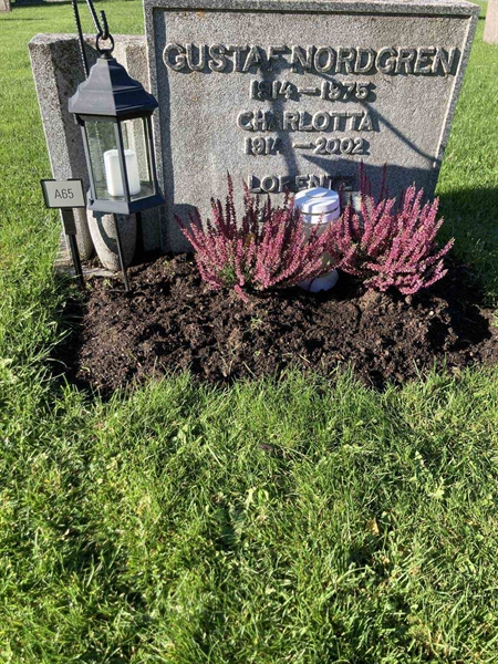 Grave number: 1 NA    65