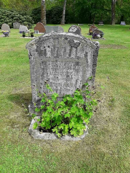 Grave number: SB 11    46