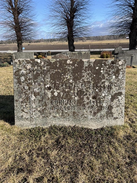 Hautatunnus: HA N     2