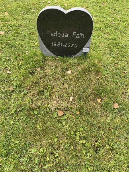 Hautatunnus: 2 G    51