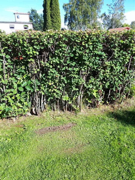 Gravnummer: NK F G    32