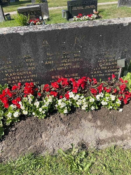 Gravnummer: N 5 1    85