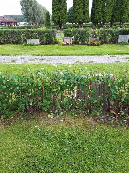 Gravnummer: NK F C   143-144