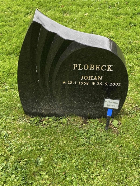 Hautatunnus: 2 C   541