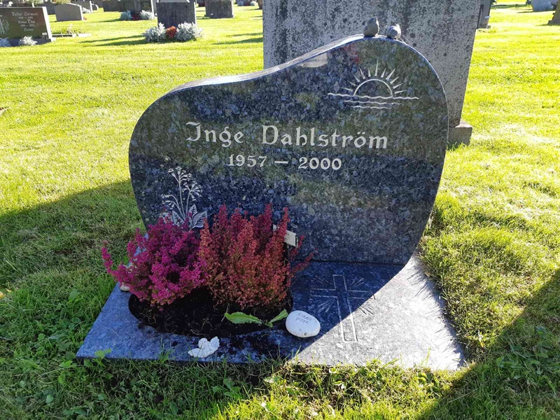 Hautatunnus: Fr 8   210