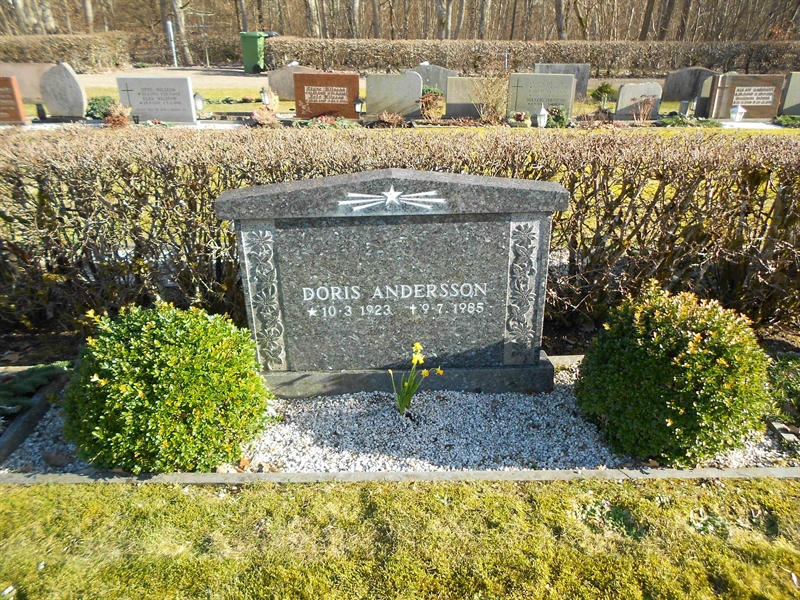 Grave number: NÅ N6    65, 66