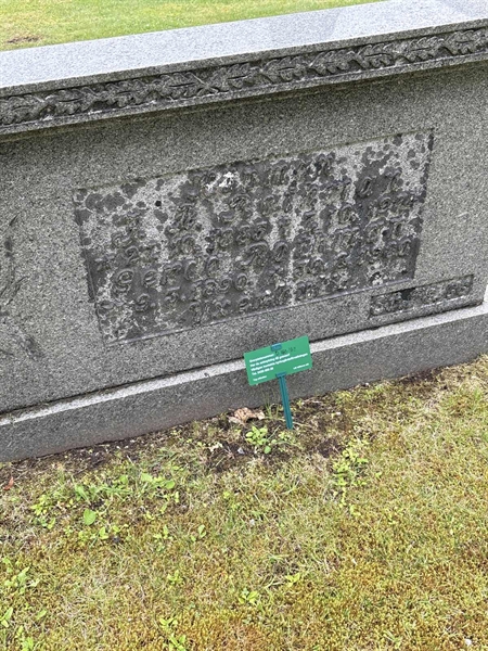 Grave number: SKF D   160, 161, 162