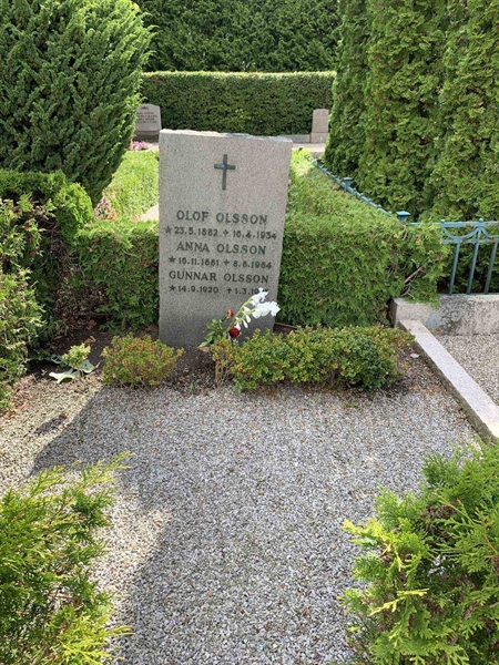 Grave number: NK VIII    87