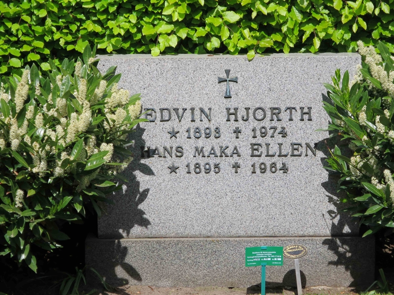 Grave number: HÖB 44    10