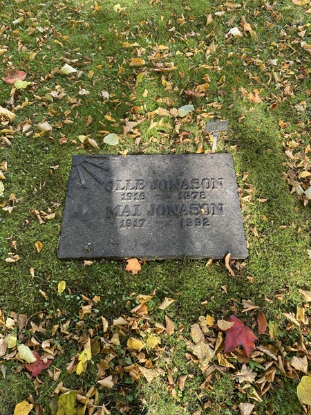 Gravnummer: 1 H   205