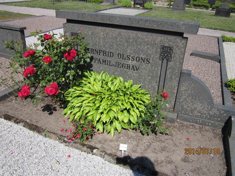 Grave number: 8 N    36