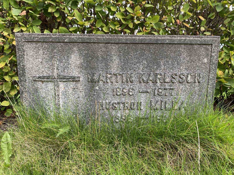 Hautatunnus: 1 19    232