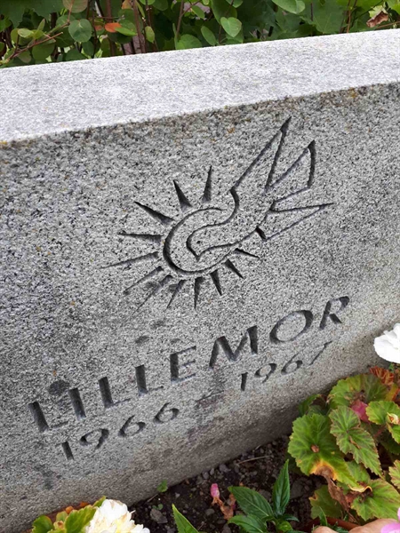 Gravnummer: NK F B    21