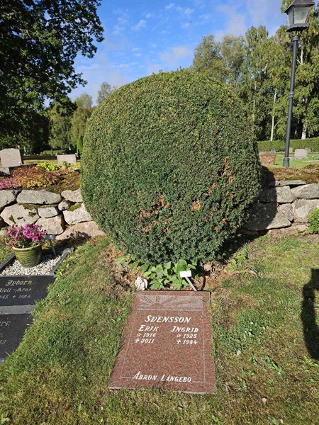 Grave number: Fr 5   870