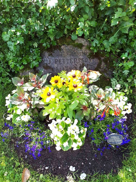 Hautatunnus: GK F 5   529B