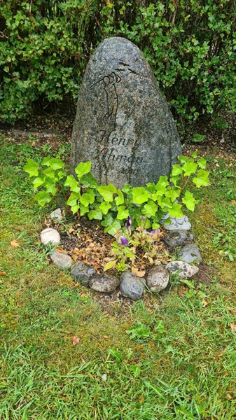 Hautatunnus: M N 24 31