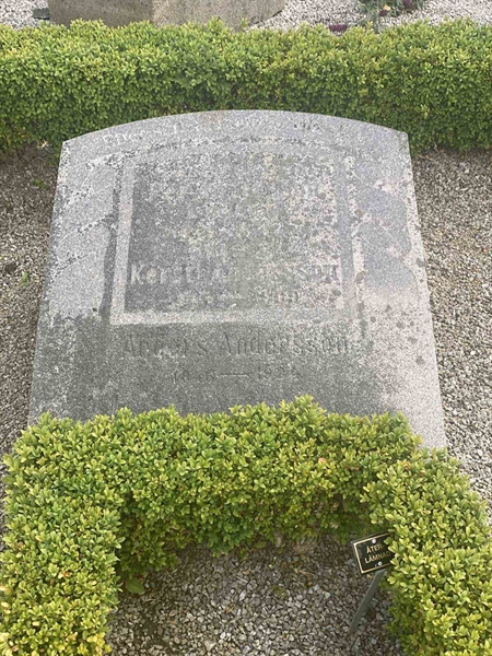 Grave number: VG VIII     9
