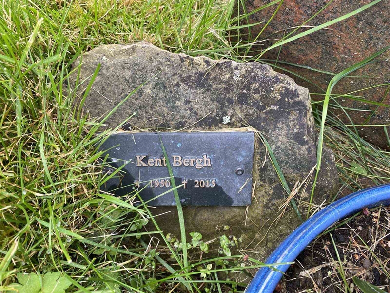 Grave number: 1 19     81, 82, 83