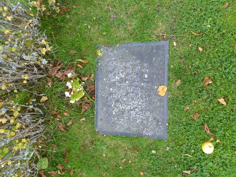 Grave number: ROG B  255, 256, 257, 258, 259