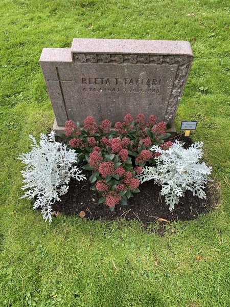 Hautatunnus: 2 C   184-185