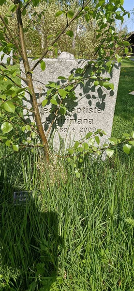 Hautatunnus: 2 HÄGGE 176