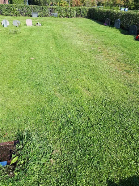 Gravnummer: NK A A   273