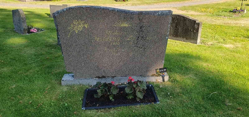 Grave number: 3 6    39