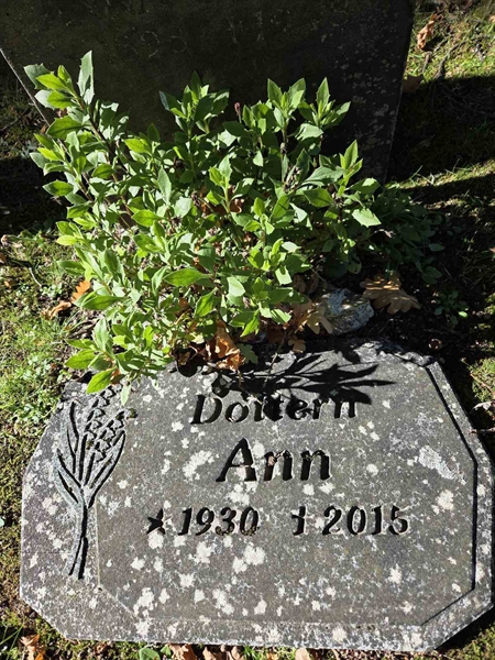Grave number: T A B   446