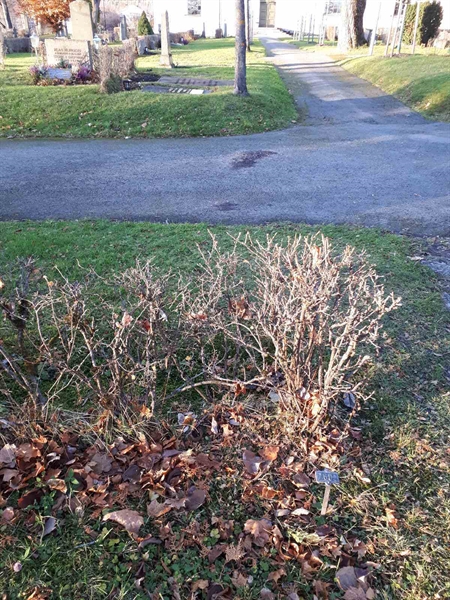 Hautatunnus: GK U 2    76