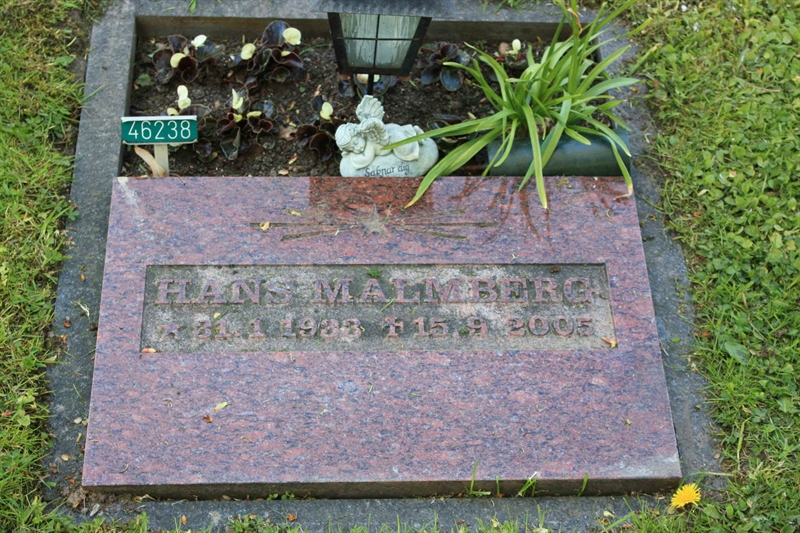 Grave number: Ö 46   238