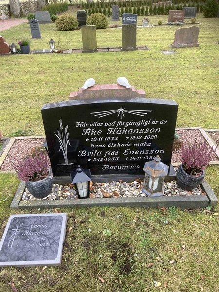 Hautatunnus: 3 F   250