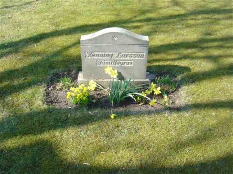Grave number: FLÄ G   118-119