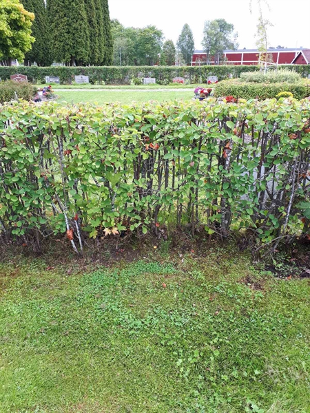 Gravnummer: NK F A   194