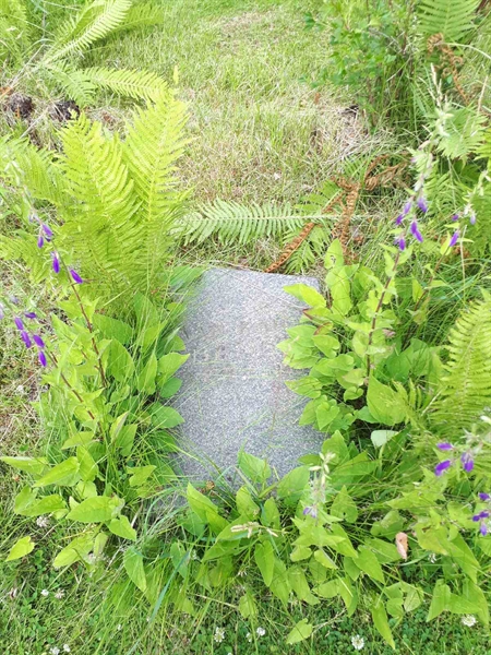 Hautatunnus: GK A 5   241M