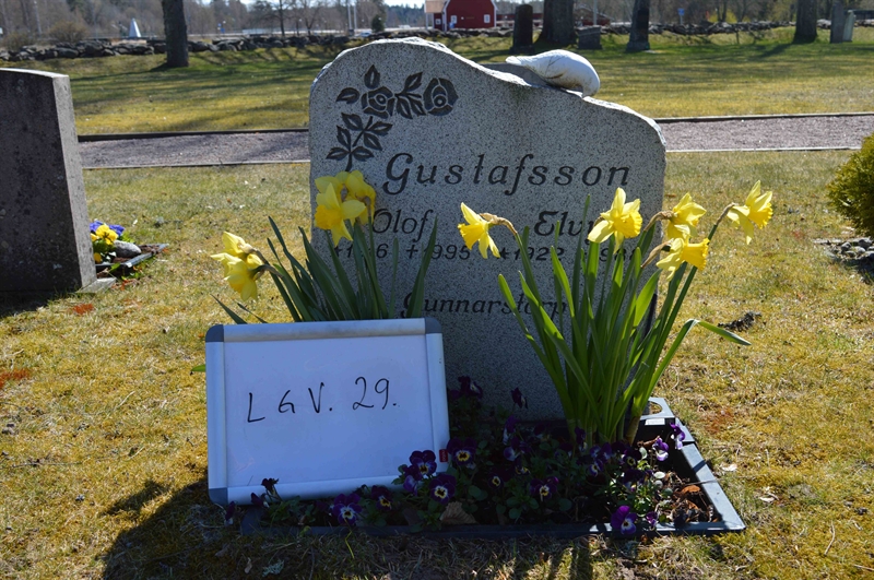 Grave number: LG V    29