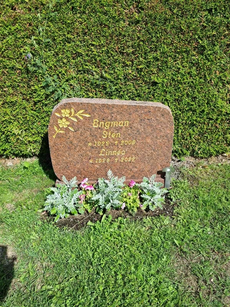 Grave number: 1 05   31