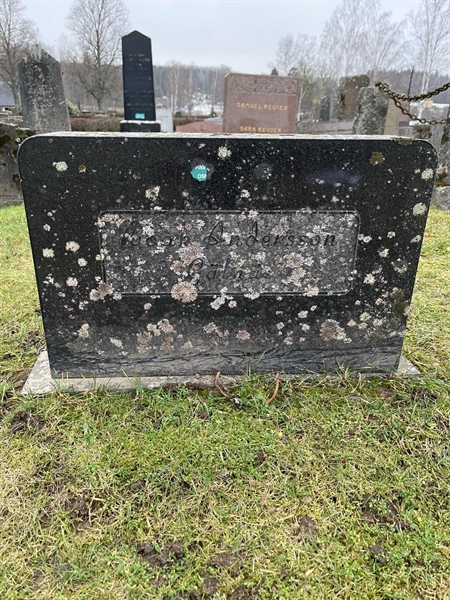 Hautatunnus: Vårv Kv3 71
